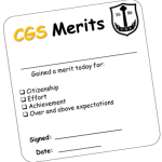 example merit card